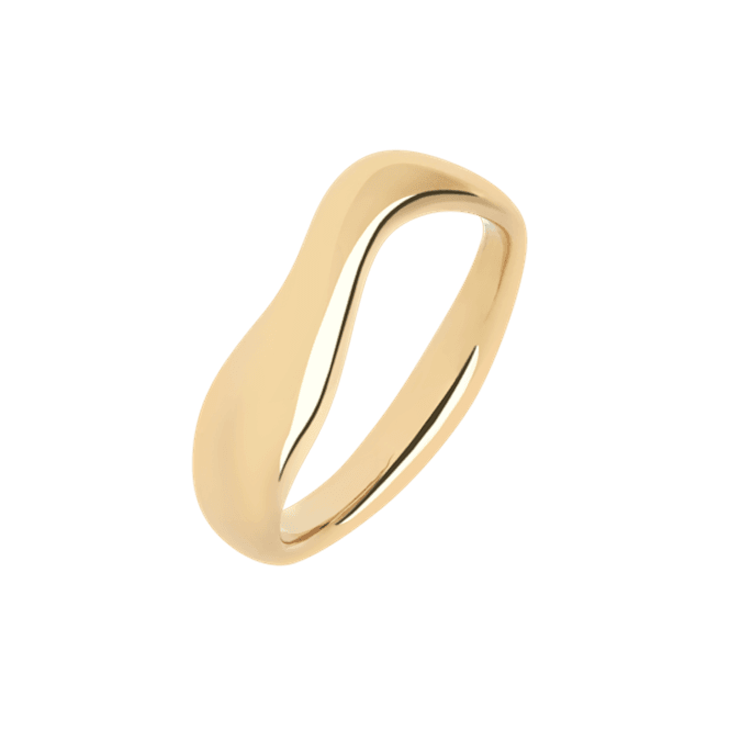 Hovedbilde VAYU Ring Gold 