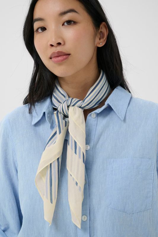 PhiPW Scarf Blue Stripe