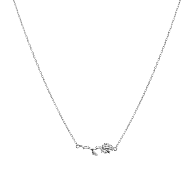 Hovedbilde ROSANNA Necklace Silver